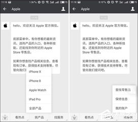 蘋果微信公眾號功能詳解與信息系統(tǒng)集成服務